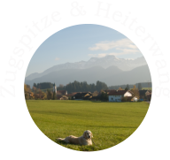 Zugspitze & Heiterwang