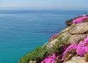 Cornwall - Minack-Theatre - Blumen und Meer