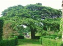 Hidcote Manor Garden