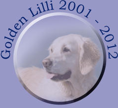 Golden Lilli 2001 - 2012