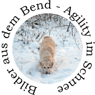 Bilder aus dem Bend - Agility im Schnee