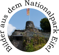 Bilder aus dem Nationalpark Eifel