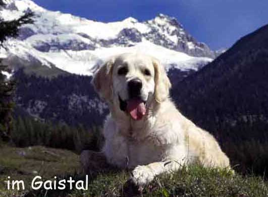 Lilli im Gaistal