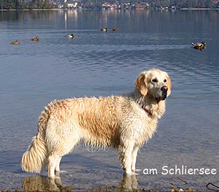Lilli im Schliersee