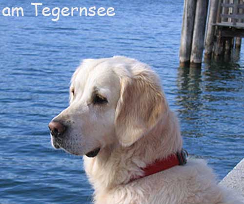Lilli am Tegernsee