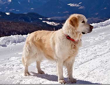 Lilli auf Meran 2000