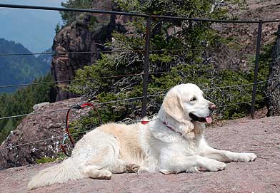 Lilli in Südtirol