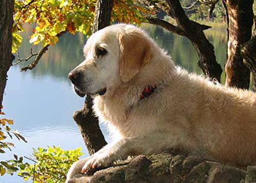 Lilli in Südtirol