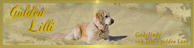 banner.jpg