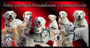 Petra und Pauls Hundeforum
