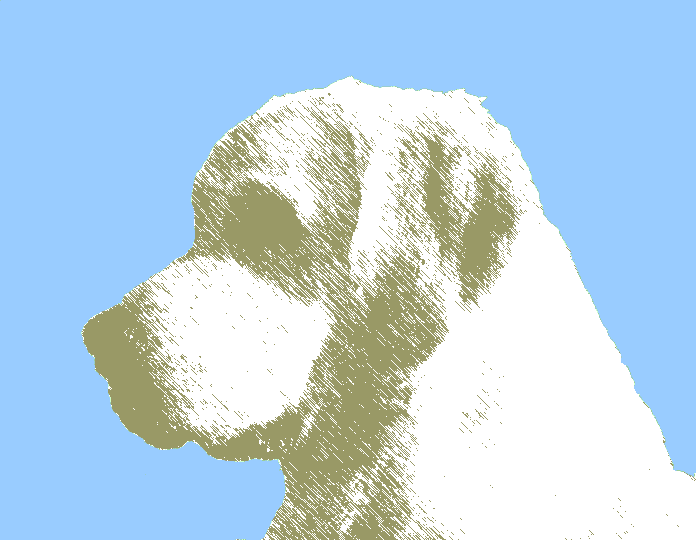 Lilli
