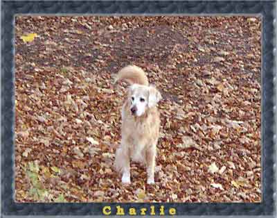 Charlie