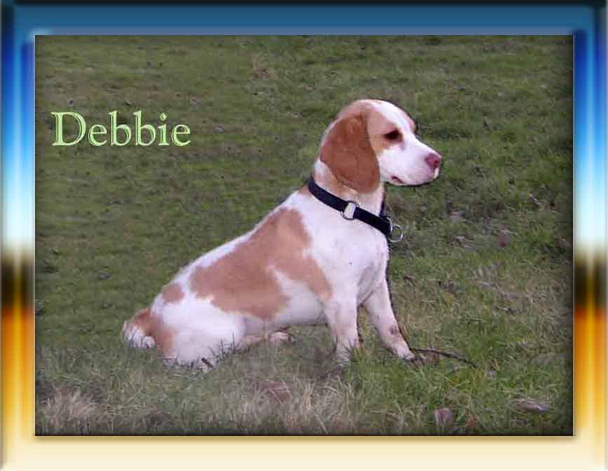 Debbie