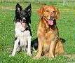 Shadow und Aramis