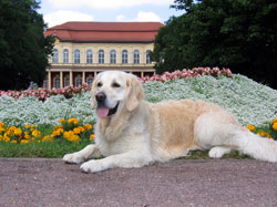 Merseburger Schloßpark