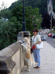 Die Brücke der Einheit in Bad Kösen