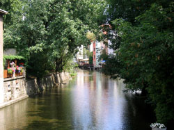 Wilde Gera