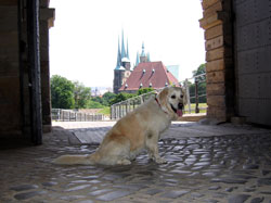 Blick von der alten Zitadelle zum Dom