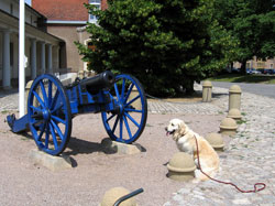 In der alten Zitadelle
