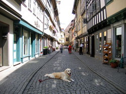 Erfurter Altstadt