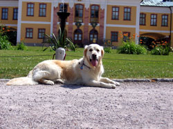 Lilli am Schloß Belvedere
