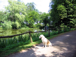 Im Schloßpark Belvedere