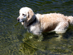 Lilli in ihrem Element