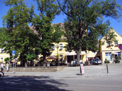 Unser Eiskaffee in Bad Kösen
