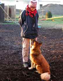 Hundeschule