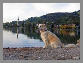 Abendstimmung am Tegernsee