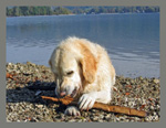 Pause am Schliersee