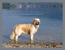 Schliersee 