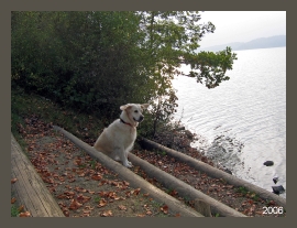 Pilsensee bei Herrsching. Hier war es zuerst sehr windig.