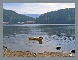 Der Schliersee war aber einiges wärmer!