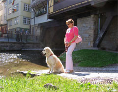 Kramerbrücke