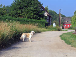 Der Weg zu unserem ruhiigen Quartier