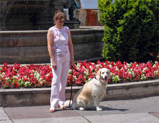 Blumen am Brunnen