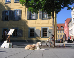 Ein wenig Kultur muss auch sein
