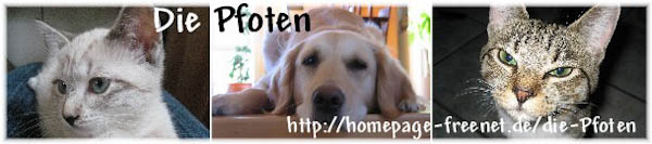 Banner Jule