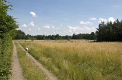 Natur