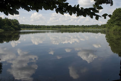 Teich (eigentlich eher See) bei Steinbach