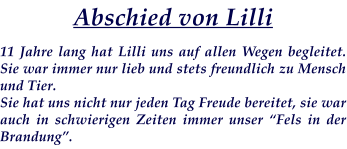 Abschied von Lilli   11 Jahre lang hat Lilli uns auf allen Wegen begleitet. Sie war immer nur lieb und stets freundlich zu Mensch und Tier. Sie hat uns nicht nur jeden Tag Freude bereitet, sie war auch in schwierigen Zeiten immer unser “Fels in der Brandung”.