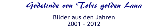 Godelinde von Tobis golden Lana Bilder aus den Jahren 2001 - 2012