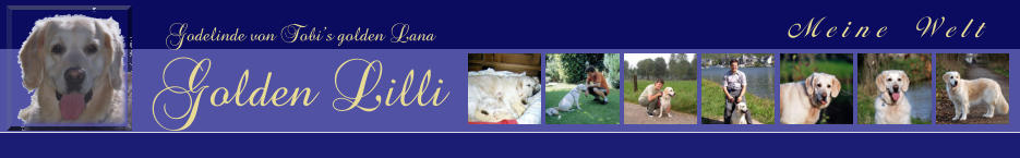 Meine Welt  Godelinde von Tobi’s golden Lana Golden Lilli