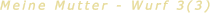 Meine Mutter - Wurf 3(3)