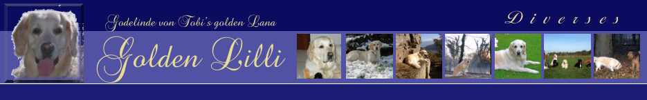 Diverses  Godelinde von Tobis golden Lana Golden Lilli