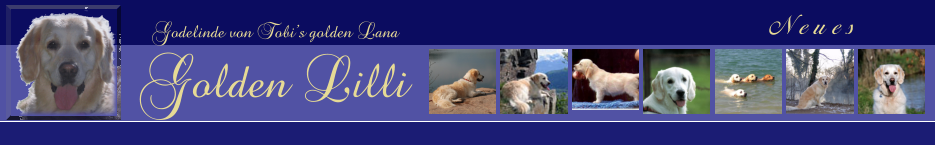 Neues  Godelinde von Tobis golden Lana Golden Lilli