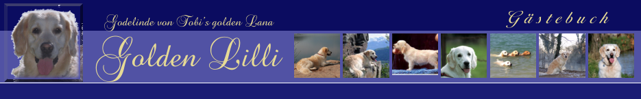 Gstebuch  Godelinde von Tobis golden Lana Golden Lilli