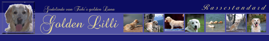 Rassestandard  Godelinde von Tobis golden Lana Golden Lilli