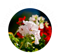 Rund um Partschins